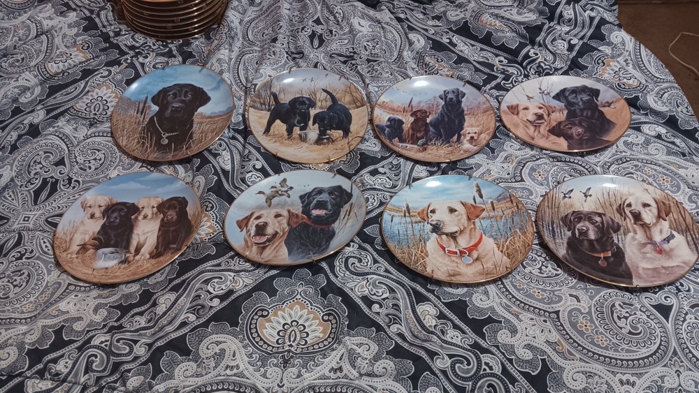 Franklin Mint Exquisite Collector Plates for Enthusiasts