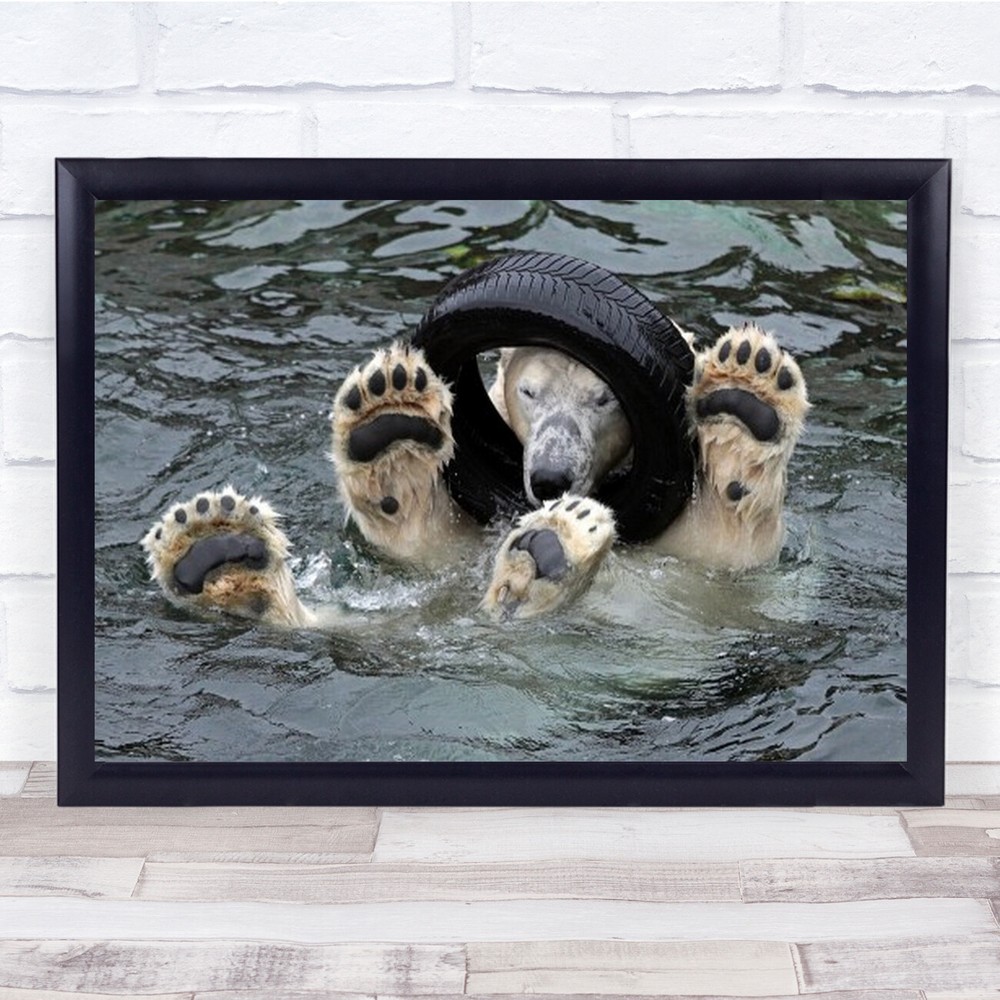 Playing The Tire Or Mechanic Animals Polar Bear Legs Tyre Wall Art Print