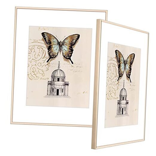 Picture Frame Thin Metal Set of 2 with Certificate 8.5x11 Brass Brushed