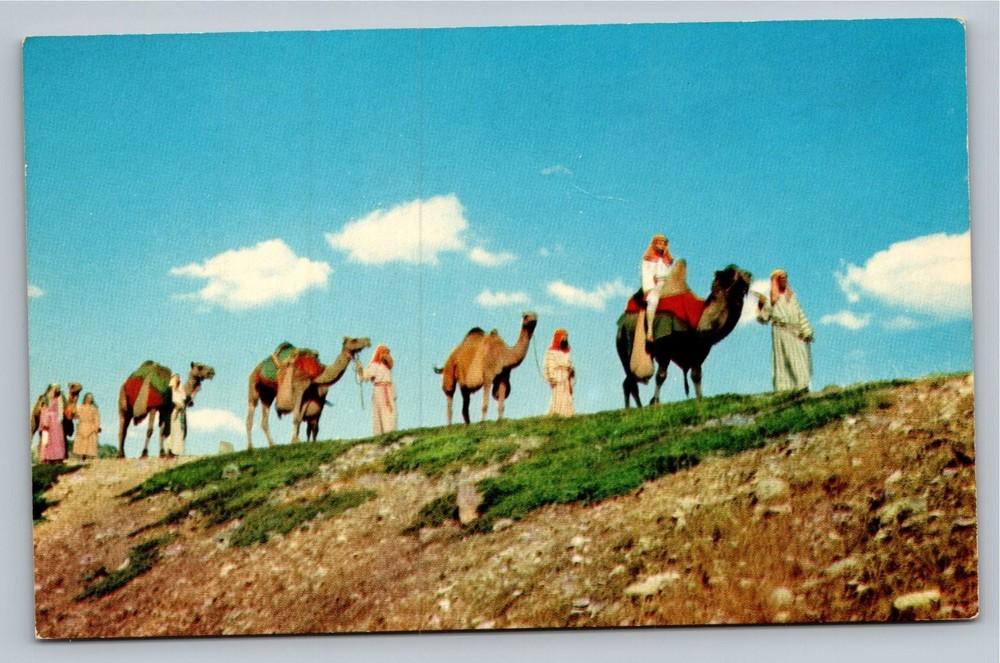 Camel Caravan Black Hills Passion Play Spearfish SD Lake Wales FL Postcard