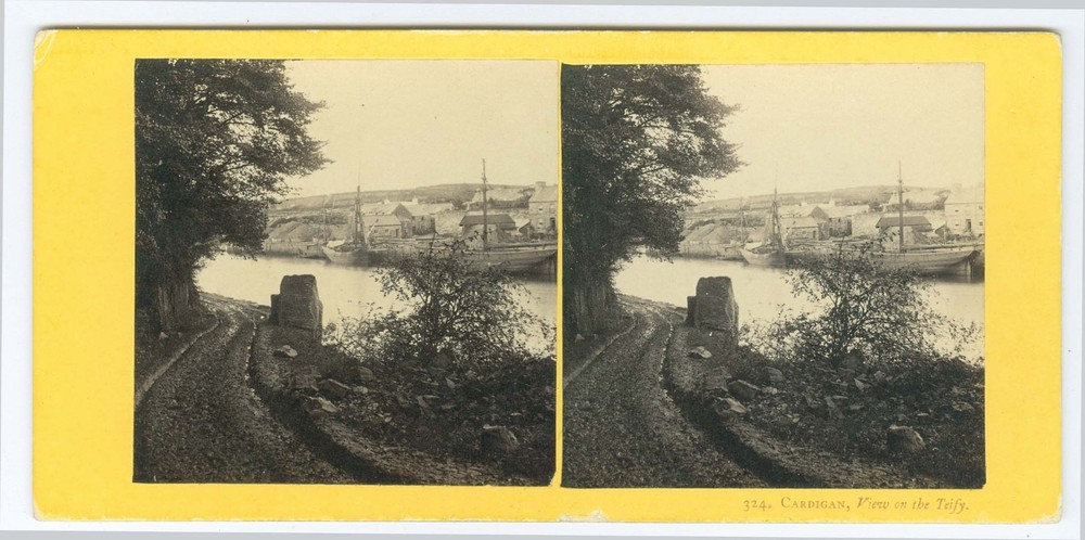G2398~ WALES – Cardigan & Tefy c.1860s Stereoview – Francis Bedford