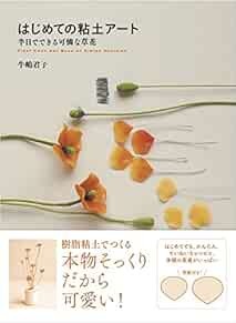 Clay Art Flower for Beginner Japanese Craft Book Japan book form JP
