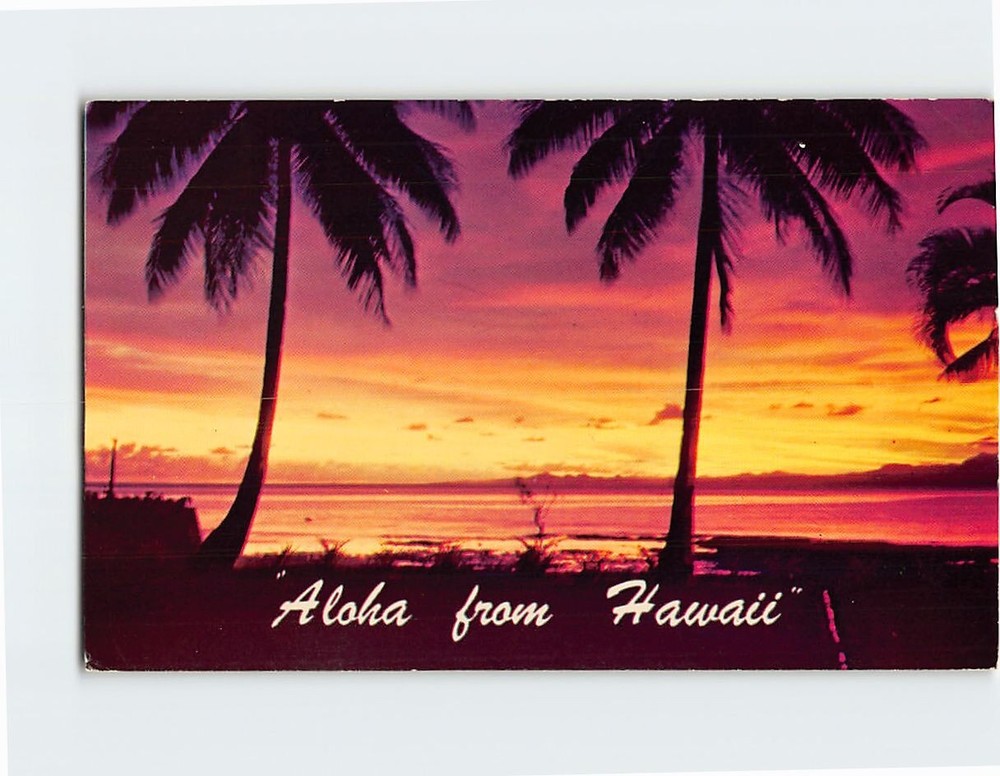Postcard Sunset Scene Aloha from Hawaii USA