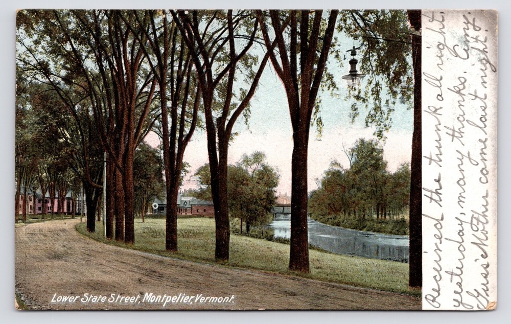 Lower State Street River Houses Montpelier Vermont VT UDB 1900s Postcard
