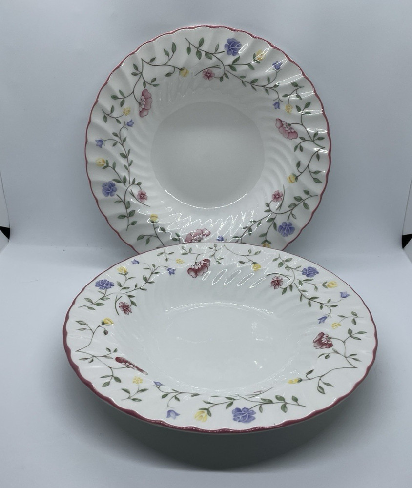 Johnson Brothers Summer Chintz Rimmed Soup Bowls, Set of 2