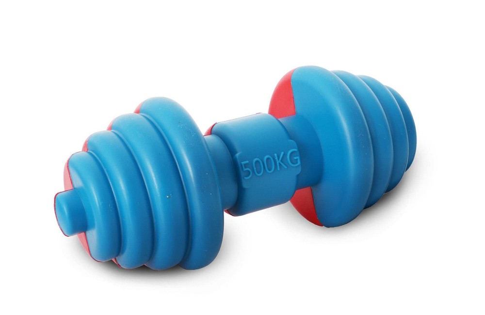 ® Iron-Wag Durable Water Floating Chew and Fetch Dog Toy