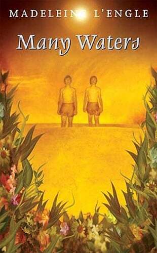 Many Waters by Madeleine L'Engle: Used