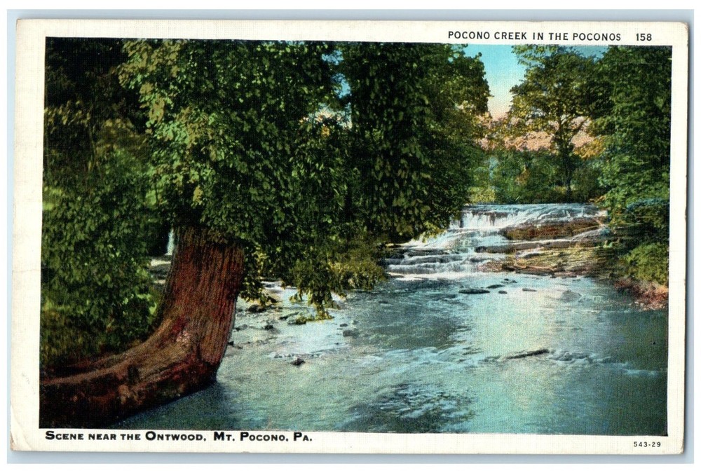 1938 Scene River Tree Ontwood Mt Pocono Pennsylvania PA Vintage Antique Postcard