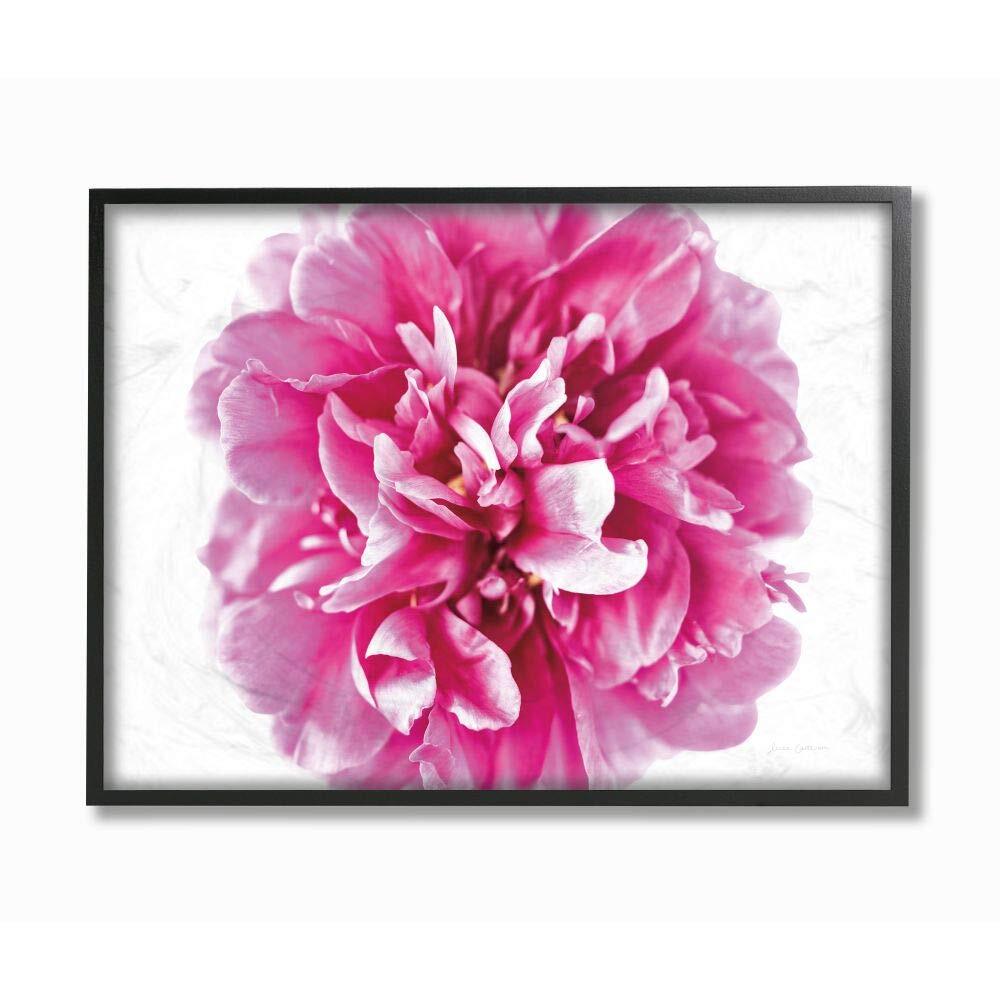 Pop Flower Petals Pink Curves Photograph by Elise Catterall Wall Art