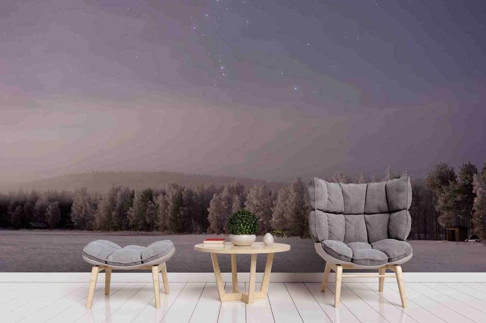 3D Starry Sky Forest Winter Landscape Wall Murals Wallpaper Murals Wall Sticker