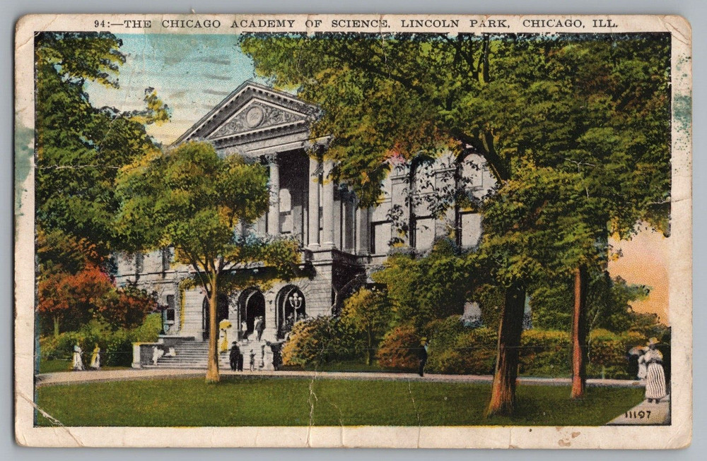 The Chicago Academy Of Sciences Lincoln Park Chicago Illinois Postcard-image