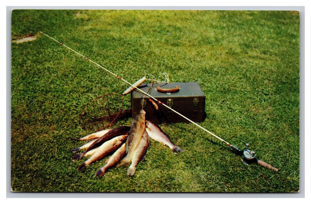 Greetings from Marcellus MI Michigan Wall-eyed Pike Tackle Box Chrome Postcard