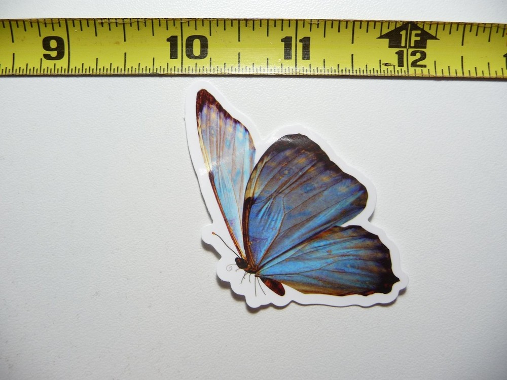 Morpho Butterfly Sticker Decal Wildlife Nature Animal Lover Gift