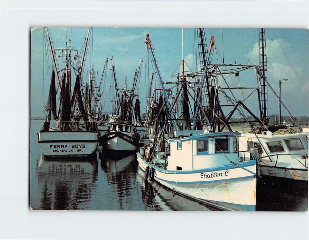 Postcard Fish And Shrimp Boats At Brunswick Georgia USA