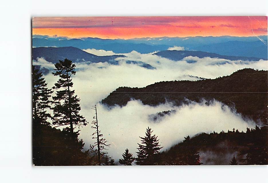 Postcard Above The Clouds At Sunrise Great Smoky Mountains National Park NC USA