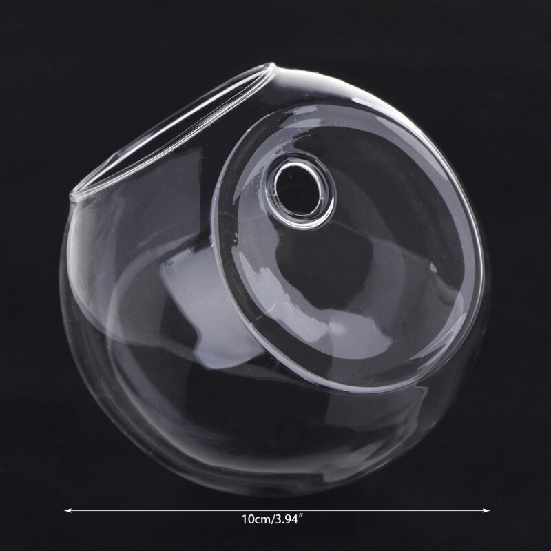 Glass Wall Planter Ball Terrarium for Home and Garden Decor