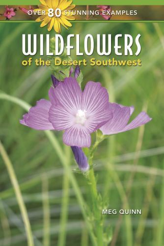 Wildflowers of the Desert Southwest Quinn, Meg paperback Used - Like New