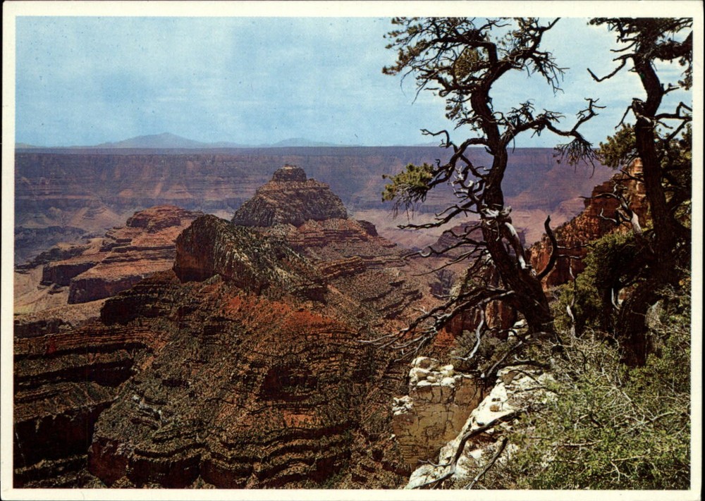 Grand Canyon Natl Park from Cape Royal Arizona aerial view ~ postcard sku977