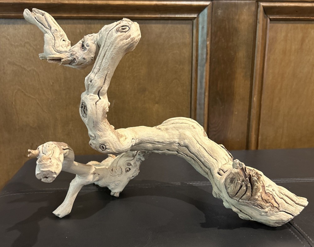 Natural Driftwood Sculpture 12
