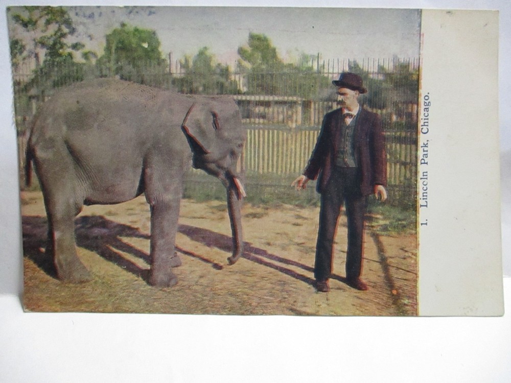1909 No 1 Postcard  