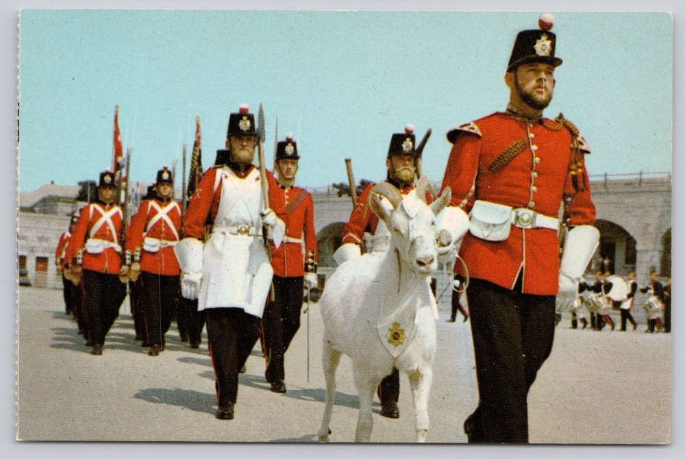 Old Fort Henry Guard Kingston Ontario Canada Mascot David Goat Parade Postcard