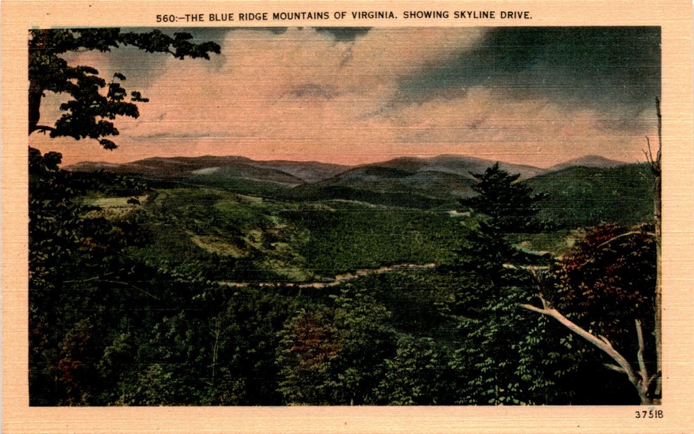 Blue Ridge Mountains, Virginia, Skyline Drive, Shenandoah National Postcard