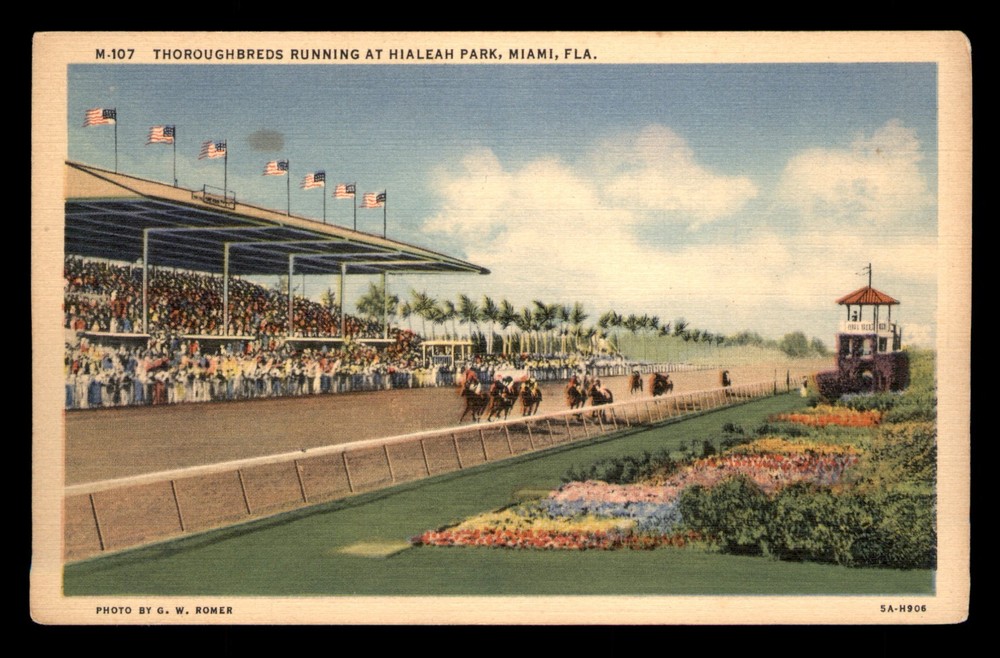 Thoroughbreds Running At Hialeah Park Miami Florida FL Racing Unp Postcard Linen