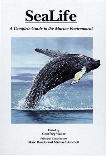 Sealife by Geoffrey Waller: Used