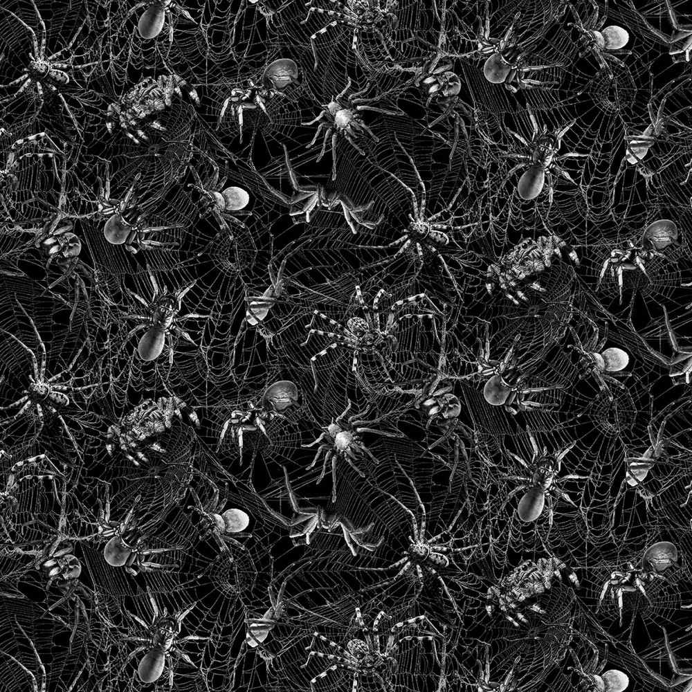 Halloween Fabric | Wicked Spider & Web Allover Black | Timeless Treasures YARD