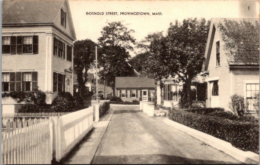 Vintage Gosnold Street Provincetown, MA Postcard - Town Crier Shop RPPC Style