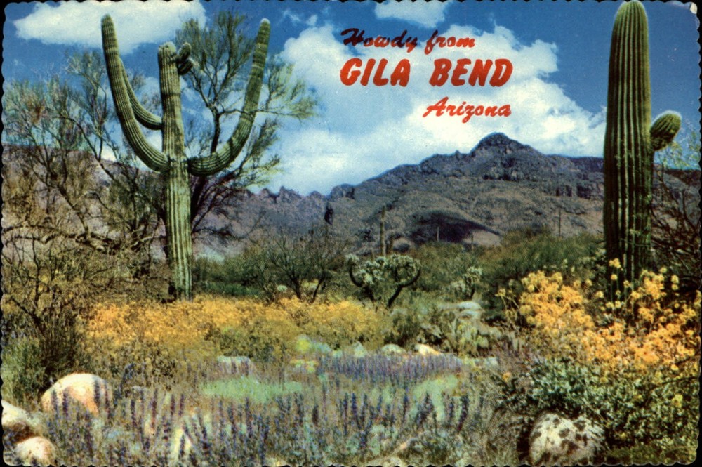 Howdy from Gila Bend Arizona cactus ~ postcard sku941