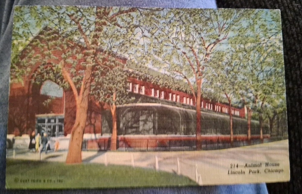 Lincoln Park Zoo, Chicago, Animal House Postcard