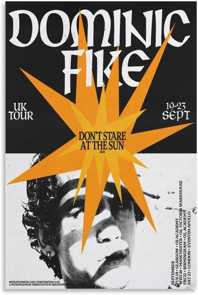 Dominic Fike Poster 24x36 Music Wall Art Print Home Decor Unframed