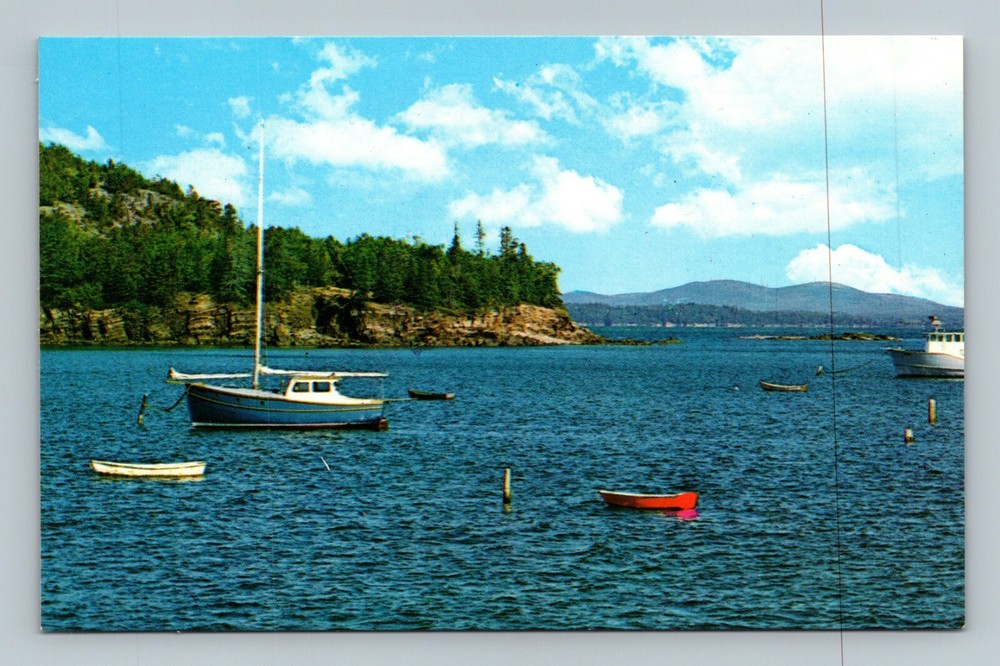 Vintage Postcard View From Town Landing Bar Harbor Maine ME