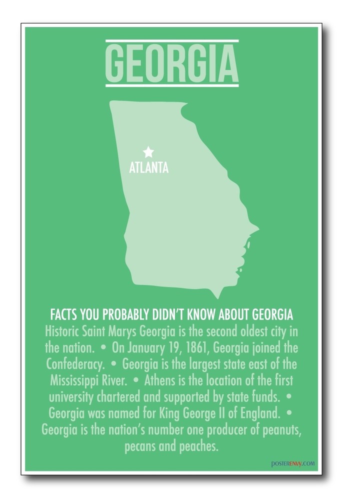 Georgia - NEW US Travel Poster