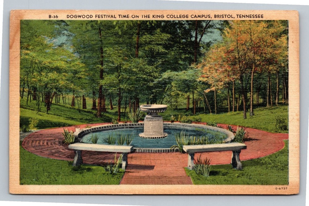 Vintage Dogwood Festival Postcard King College Campus Bristol TN