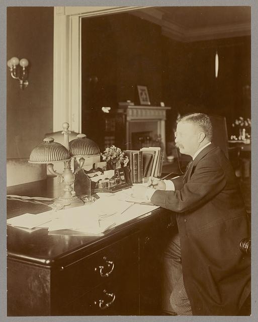 [Theodore Roosevelt, full-length portrait, seated at his desk writing]