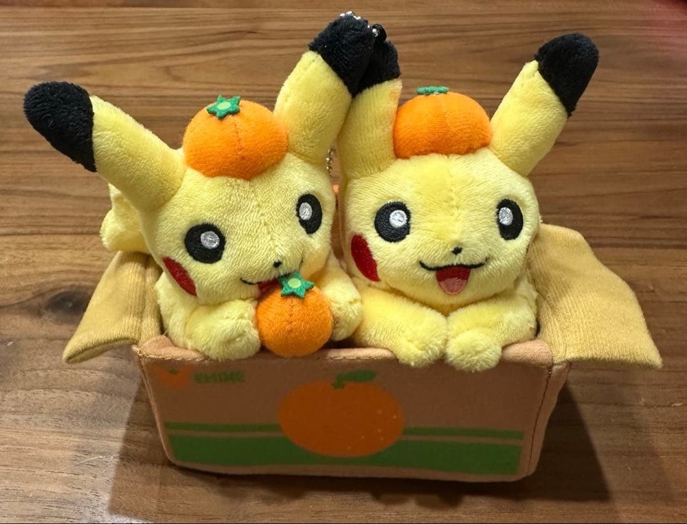 Pokemon Center Pikachu Mascot Pair Orange Box Ehime Limited Edition Japan