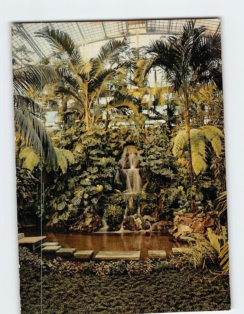 Postcard The Palm House Frankfurt am Main Germany