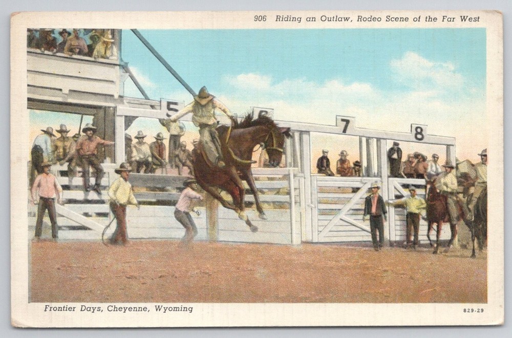 Cheyenne Frontier Days Rodeo Postcard - Cowboy Riding Outlaw Horse Wyoming