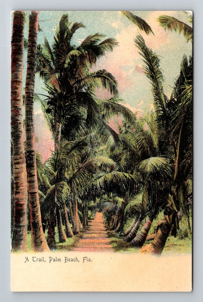 Palm Beach, FL-Florida, Palm Trail Tropical Coconut Grove Vintage Postcard