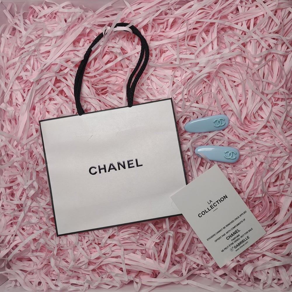 Blue Hair Clips GWP VIP Gift ChanelBeauté