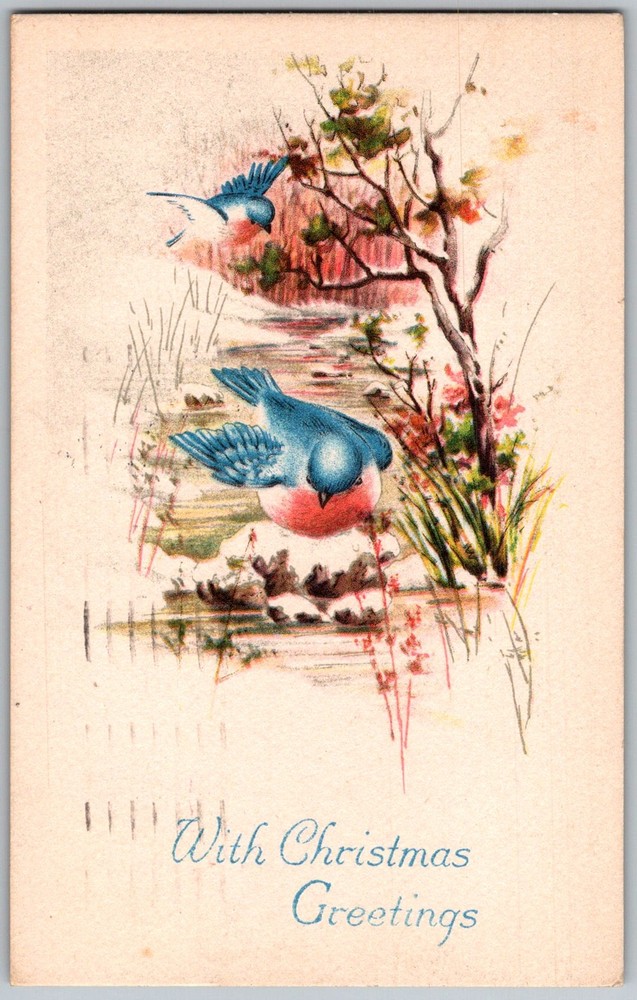 Antique Postcard Christmas Bluebirds Greeting Buffalo, NY 1910s