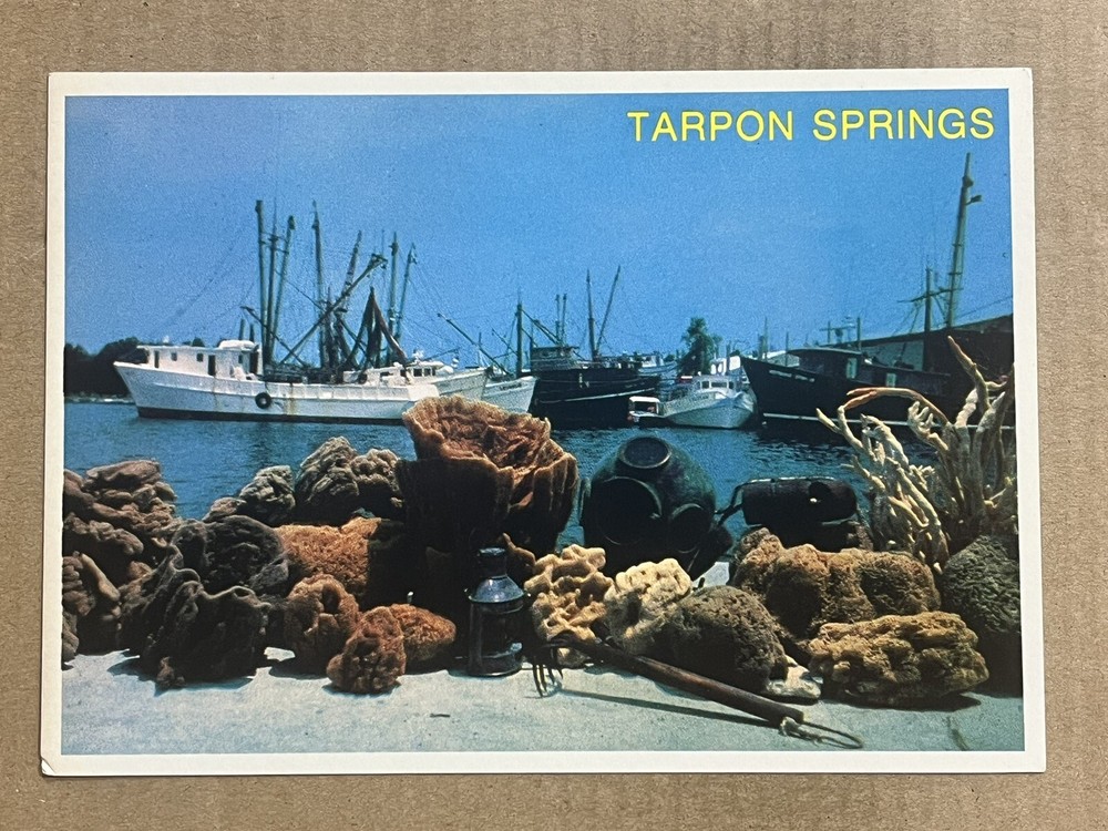Postcard Tarpon Springs FL Florida Greetings Fishing Sponge Boats Dock Vintage