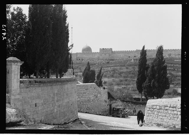 Mount of Olives,Gethsemane,Jerusalem,Israel,Middle East,American Colony Photo