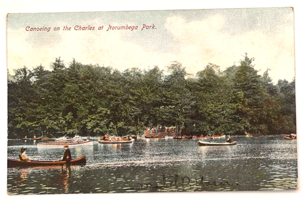 Canoeing Charles River Norumbega Park MA Postcard