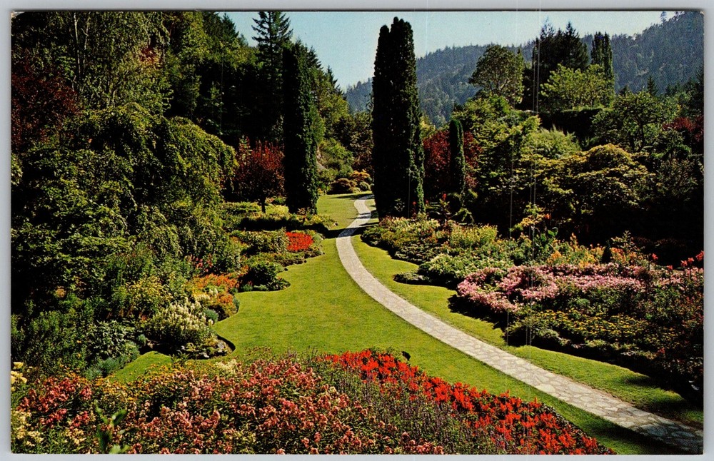 Vtg Postcard Butchart Sunken Gardens Victoria, Bc, CA 1960s