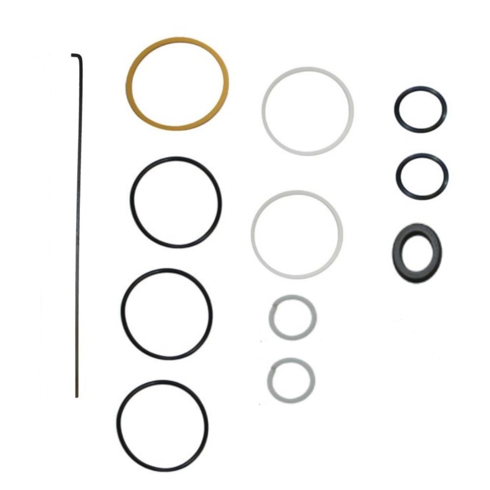 S.57842 Seal Kit, Power Steering Cyl, 55355C91 Fits Case IH