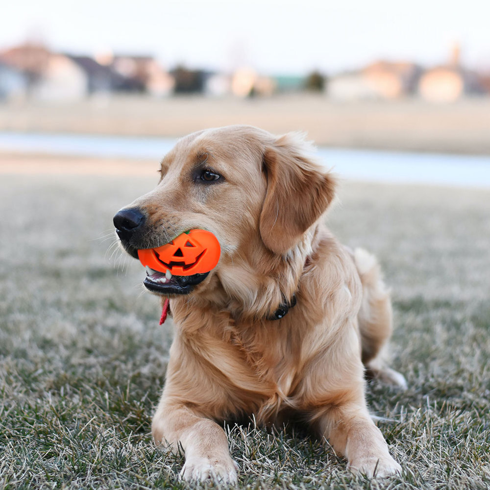 4 Pcs Dog Toy for Chewers Squeaky Plush Toys Pet Outdoor Child