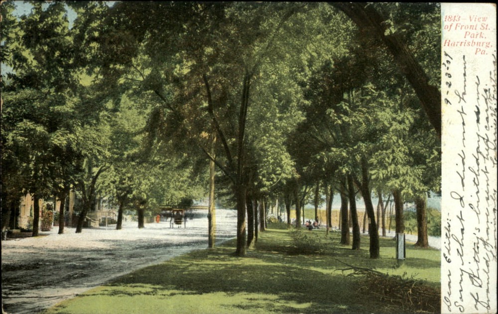 Front Street Park Harrisburg Pennsylvania ~ UDB 1907 postcard
